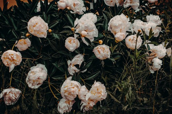 Quels matériaux privilégier pour une rénovation écologique ?